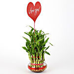 Three Layer Lucky Bamboo With I Love You Tag