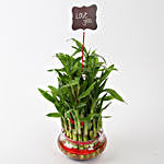 Three Layer Lucky Bamboo With Love You Tag