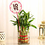Two Layer Bamboo in Vase with Love Tag