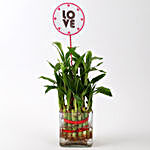 Two Layer Bamboo in Vase with Love Tag