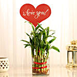 Two Layer Lucky Bamboo With I Love You Tag