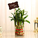 Two Layer Lucky Bamboo With Love You Tag