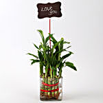Two Layer Lucky Bamboo With Love You Tag