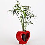 Chamaedorea Plant In Red Heart Glass Vase
