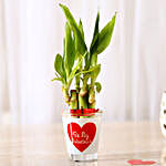 Lucky Bamboo In Be My Valentine Glass Vase