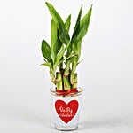 Lucky Bamboo In Be My Valentine Glass Vase