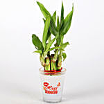 Lucky Bamboo In Hugs & Kisses Printed Glass Vase