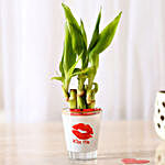 Lucky Bamboo In Kiss Me Printed Glass Vase