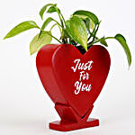 Money Plant In Just For You Ceramic Pot