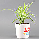 Spider Plant In I LOVE YOU Printed Pot
