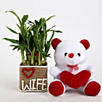2 Layer Lucky Bamboo For Wife With Teddy Bear