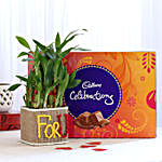 2 Layer Lucky Bamboo In For U Vase With Cadbury Celebrations