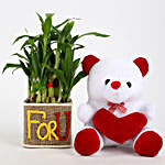 2 Layer Lucky Bamboo In For U Vase With Teddy Bear