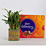 2 Layer Lucky Bamboo In Glass Vase With Cadbury Celebrations