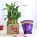 2 Layer Lucky Bamboo In I Love U Glass Vase With Dairy Milk Chocolates