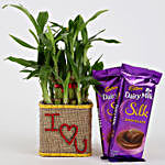 2 Layer Lucky Bamboo In I Love U Glass Vase With Dairy Milk Silk Chocolates