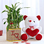 2 Layer Lucky Bamboo In I Love U Glass Vase With Teddy Bear