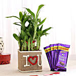 2 Layer Lucky Bamboo In I Love U Vase With Dairy Milk Chocolates