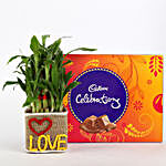 2 Layer Lucky Bamboo In Love Vase With Cadbury Celebrations