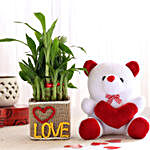 2 Layer Lucky Bamboo In Love Vase With Teddy Bear
