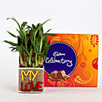 2 Layer Lucky Bamboo In My Love Vase With Cadbury Celebrations
