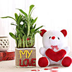 2 Layer Lucky Bamboo In My Love Vase With Teddy Bear