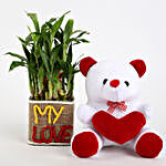 2 Layer Lucky Bamboo In My Love Vase With Teddy Bear