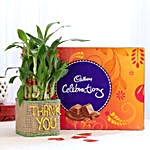 2 Layer Lucky Bamboo In Thank You Vase With Cadbury Celebrations