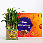 2 Layer Lucky Bamboo In Thank You Vase With Cadbury Celebrations