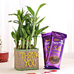 2 Layer Lucky Bamboo In Thank You Vase With Dairy Milk Silk Chocolates
