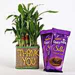 2 Layer Lucky Bamboo In Thank You Vase With Dairy Milk Silk Chocolates