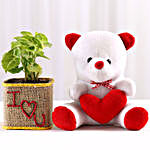 Syngonium Plant in I Love You Vase & Teddy Bear