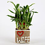 Valentine Special 2 Layer Lucky Bamboo For Wife