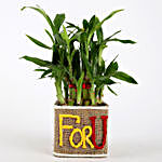 Valentine Special 2 Layer Lucky Bamboo In For U Vase