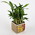 Valentine Special 2 Layer Lucky Bamboo In For U Vase