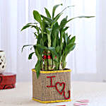 Valentine Special 2 Layer Lucky Bamboo In I Love U Glass Vase