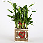 Valentine Special 2 Layer Lucky Bamboo In I Love U Vase