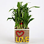 Valentine Special 2 Layer Lucky Bamboo In Love Vase