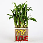 Valentine Special 2 Layer Lucky Bamboo In My Love Vase