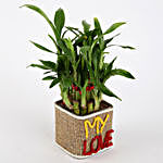 Valentine Special 2 Layer Lucky Bamboo In My Love Vase