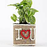 Syngonium Plant in Jute Wrapped I Love You Vase