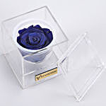 Royal- Forever Blue Rose in Acrylic Box
