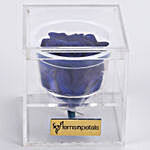 Royal- Forever Blue Rose in Acrylic Box