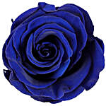 Royal- Forever Blue Rose in Velvet Box