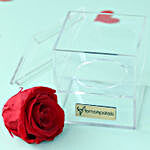 Timeless- Forever Red Rose in Acrylic Box