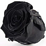 Black Jade- Forever Black Rose in Velvet Box