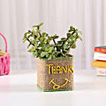 Jade Plant In Jute Wrapped Thanks Vase