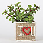 Jute Wrapped Jade Plant in I Love You Vase