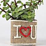 Jute Wrapped Jade Plant in I Love You Vase