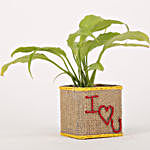 Peace Lily In I Love You Vase